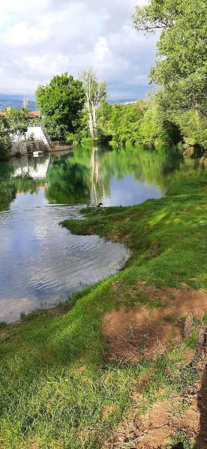 מוסטר Villa Bella מראה חיצוני תמונה