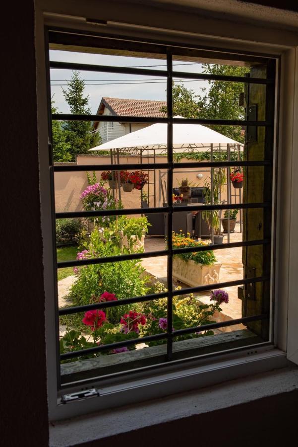 מוסטר Villa Bella מראה חיצוני תמונה